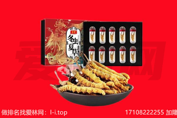 唐山回收虫草.jpg